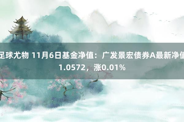 足球尤物 11月6日基金净值：广发景宏债券A最新净值1.0572，涨0.01%