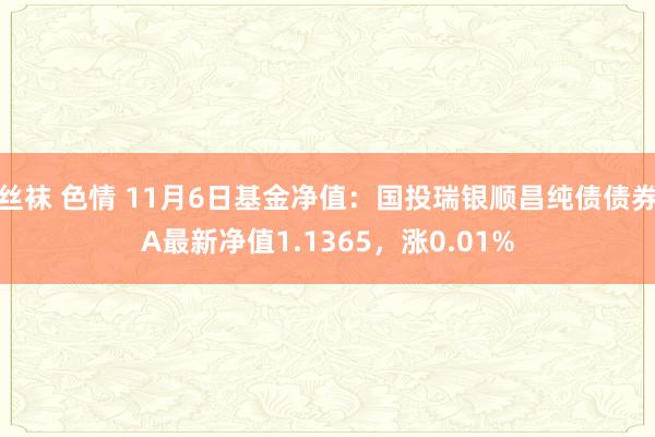 丝袜 色情 11月6日基金净值：国投瑞银顺昌纯债债券A最新净值1.1365，涨0.01%