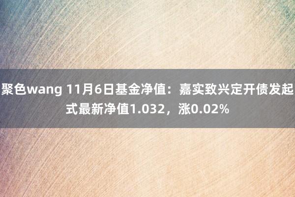 聚色wang 11月6日基金净值：嘉实致兴定开债发起式最新净值1.032，涨0.02%