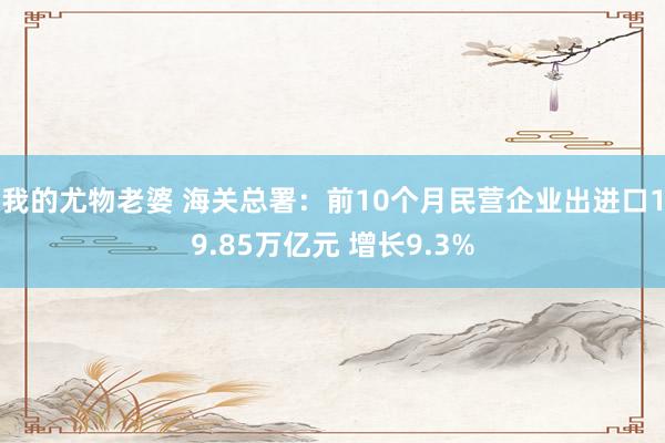 我的尤物老婆 海关总署：前10个月民营企业出进口19.85万亿元 增长9.3%