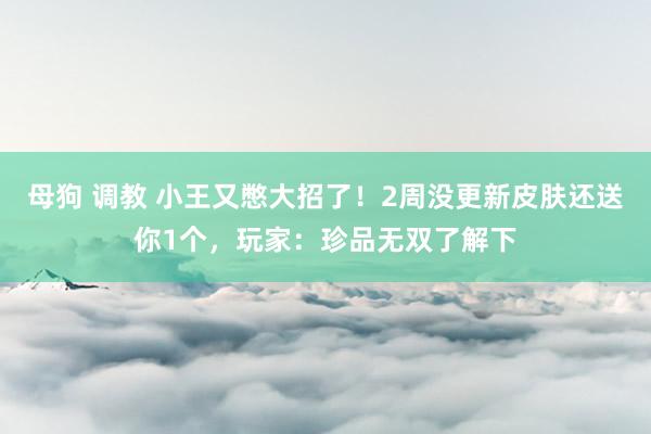 母狗 调教 小王又憋大招了！2周没更新皮肤还送你1个，玩家：珍品无双了解下