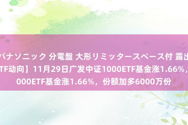 パナソニック 分電盤 大形リミッタースペース付 露出・半埋込両用形 【ETF动向】11月29日广发中证1000ETF基金涨1.66%，份额加多6000万份