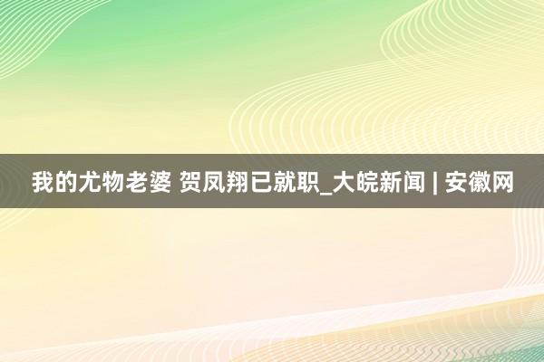 我的尤物老婆 贺凤翔已就职_大皖新闻 | 安徽网