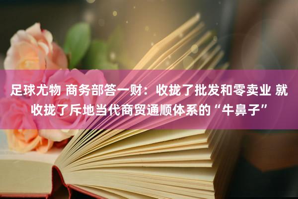 足球尤物 商务部答一财：收拢了批发和零卖业 就收拢了斥地当代商贸通顺体系的“牛鼻子”