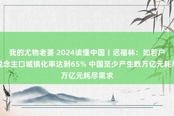 我的尤物老婆 2024读懂中国丨迟福林：如若户籍东说念主口城镇化率达到65% 中国至少产生数万亿元耗尽需求