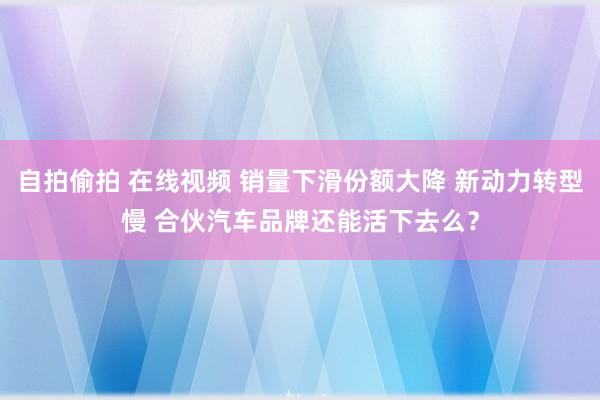 自拍偷拍 在线视频 销量下滑份额大降 新动力转型慢 合伙汽车品牌还能活下去么？