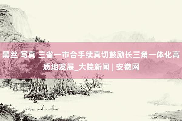 黑丝 写真 三省一市合手续真切鼓励长三角一体化高质地发展_大皖新闻 | 安徽网