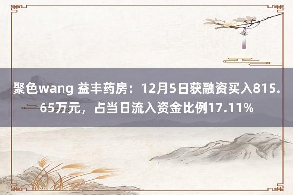 聚色wang 益丰药房：12月5日获融资买入815.65万元，占当日流入资金比例17.11%