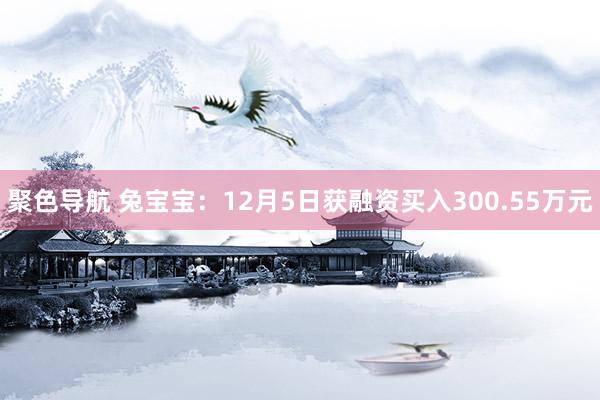 聚色导航 兔宝宝：12月5日获融资买入300.55万元