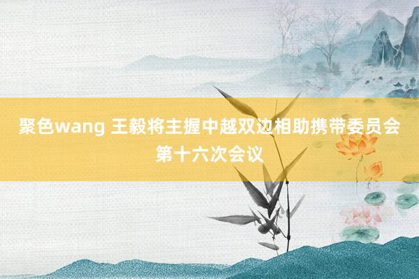 聚色wang 王毅将主握中越双边相助携带委员会第十六次会议