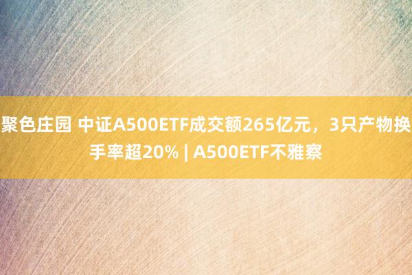 聚色庄园 中证A500ETF成交额265亿元，3只产物换手率超20% | A500ETF不雅察