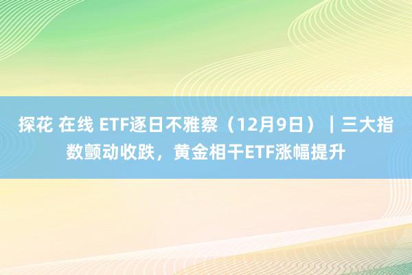 探花 在线 ETF逐日不雅察（12月9日）｜三大指数颤动收跌，黄金相干ETF涨幅提升