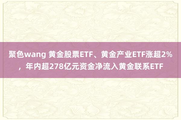 聚色wang 黄金股票ETF、黄金产业ETF涨超2%，年内超278亿元资金净流入黄金联系ETF