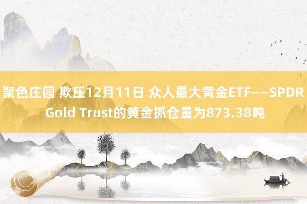 聚色庄园 欺压12月11日 众人最大黄金ETF——SPDR Gold Trust的黄金抓仓量为873.38吨