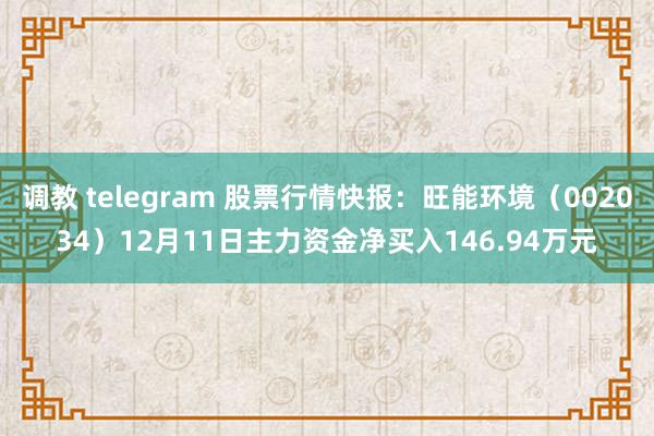 调教 telegram 股票行情快报：旺能环境（002034）12月11日主力资金净买入146.94万元