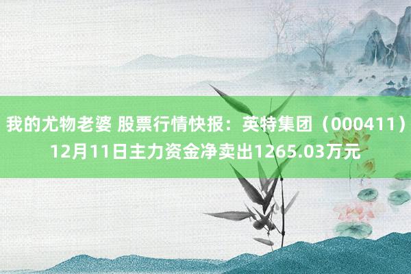 我的尤物老婆 股票行情快报：英特集团（000411）12月11日主力资金净卖出1265.03万元