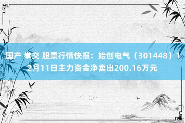 国产 拳交 股票行情快报：始创电气（301448）12月11日主力资金净卖出200.16万元