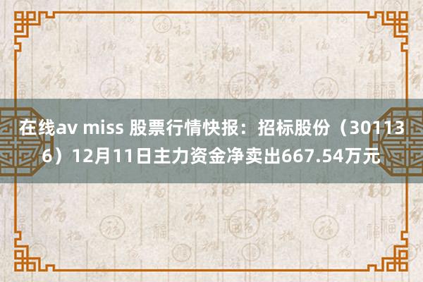 在线av miss 股票行情快报：招标股份（301136）12月11日主力资金净卖出667.54万元