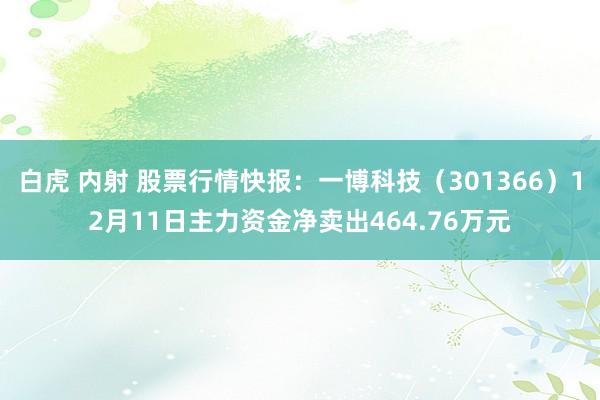 白虎 内射 股票行情快报：一博科技（301366）12月11日主力资金净卖出464.76万元