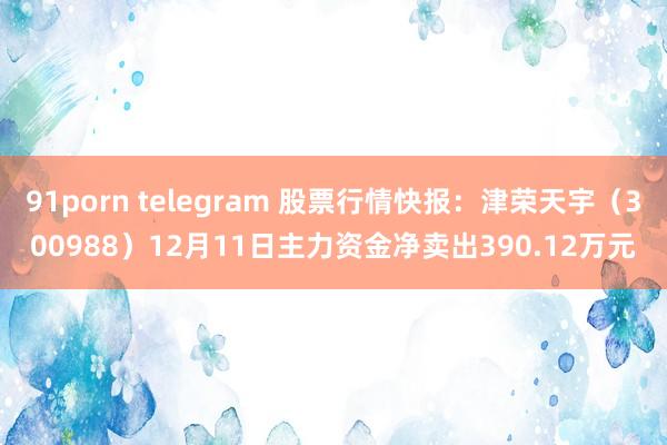 91porn telegram 股票行情快报：津荣天宇（300988）12月11日主力资金净卖出390.12万元