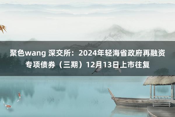 聚色wang 深交所：2024年轻海省政府再融资专项债券（三期）12月13日上市往复