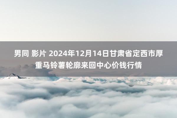 男同 影片 2024年12月14日甘肃省定西市厚重马铃薯轮廓来回中心价钱行情