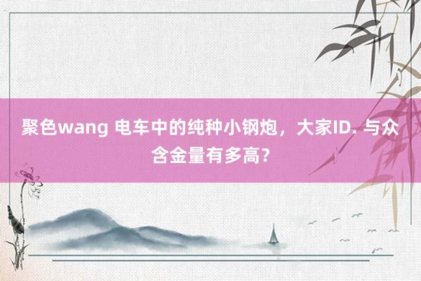 聚色wang 电车中的纯种小钢炮，大家ID. 与众含金量有多高？