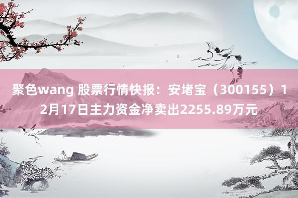 聚色wang 股票行情快报：安堵宝（300155）12月17日主力资金净卖出2255.89万元