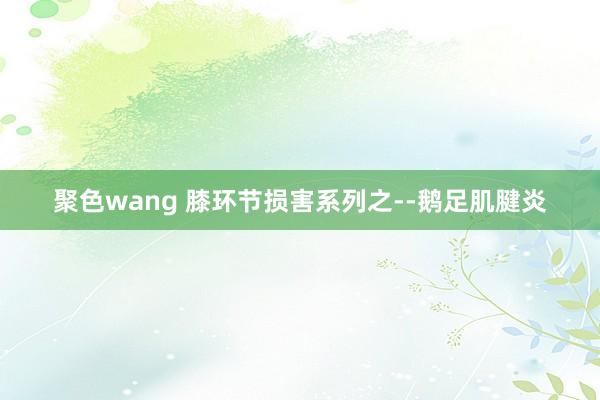 聚色wang 膝环节损害系列之--鹅足肌腱炎