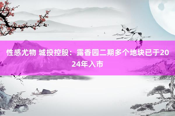 性感尤物 城投控股：露香园二期多个地块已于2024年入市