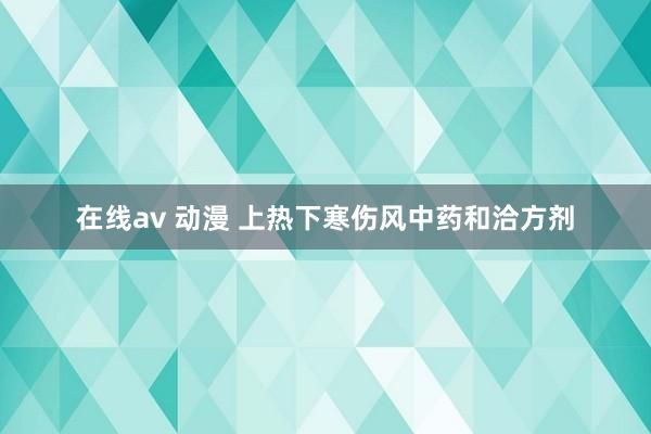 在线av 动漫 上热下寒伤风中药和洽方剂