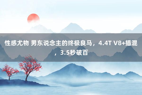 性感尤物 男东说念主的终极良马，4.4T V8+插混，3.5秒破百