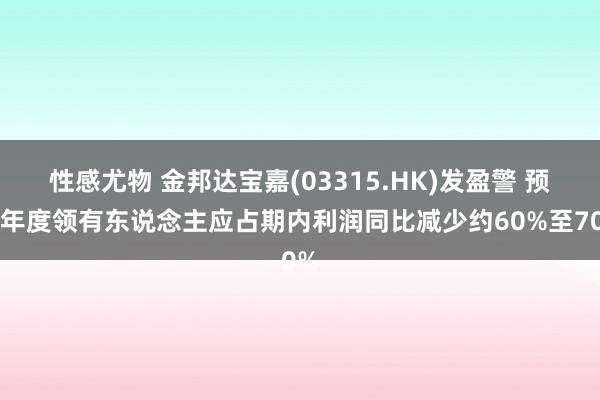 性感尤物 金邦达宝嘉(03315.HK)发盈警 预期年度领有东说念主应占期内利润同比减少约60%至70%