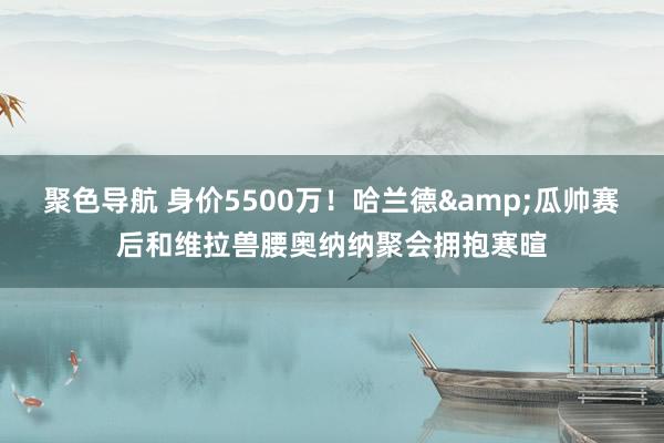 聚色导航 身价5500万！哈兰德&瓜帅赛后和维拉兽腰奥纳纳聚会拥抱寒暄