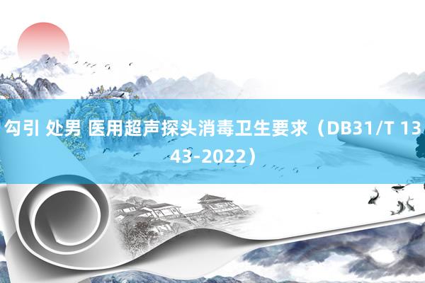 勾引 处男 医用超声探头消毒卫生要求（DB31/T 1343-2022）