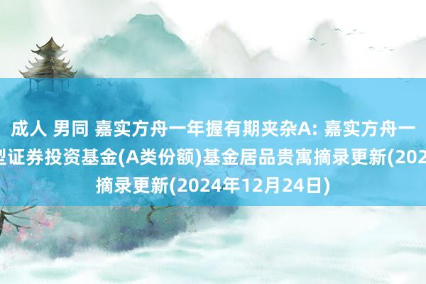 成人 男同 嘉实方舟一年握有期夹杂A: 嘉实方舟一年握有期夹杂型证券投资基金(A类份额)基金居品贵寓摘录更新(2024年12月24日)