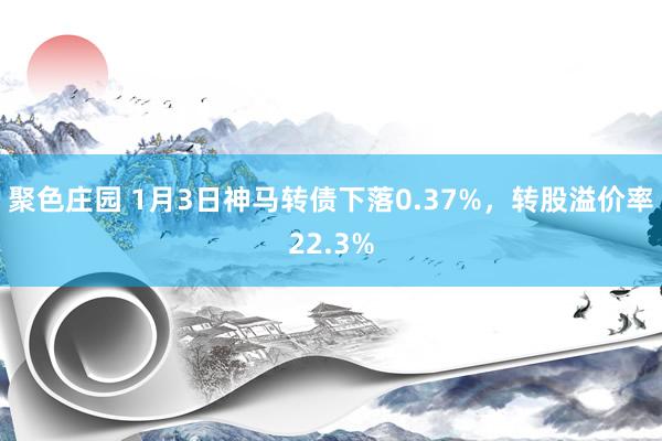 聚色庄园 1月3日神马转债下落0.37%，转股溢价率22.3%