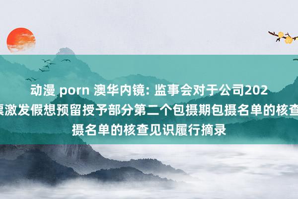 动漫 porn 澳华内镜: 监事会对于公司2022年结束性股票激发假想预留授予部分第二个包摄期包摄名单的核查见识履行摘录