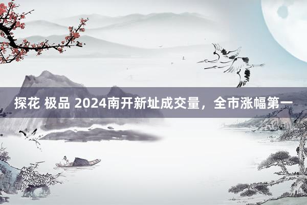 探花 极品 2024南开新址成交量，全市涨幅第一