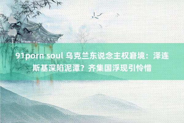 91porn soul 乌克兰东说念主权窘境：泽连斯基深陷泥潭？齐集国浮现引怜惜