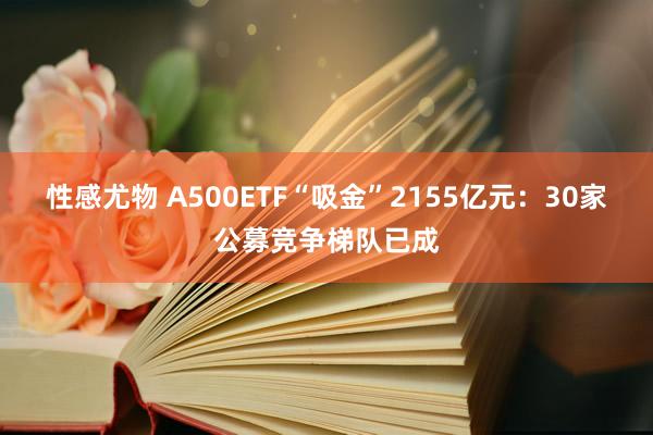 性感尤物 A500ETF“吸金”2155亿元：30家公募竞争梯队已成