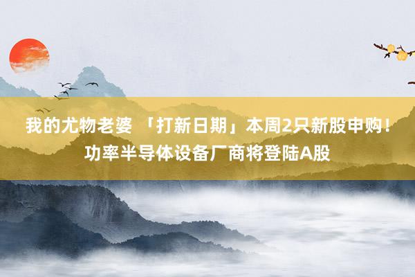 我的尤物老婆 「打新日期」本周2只新股申购！功率半导体设备厂商将登陆A股