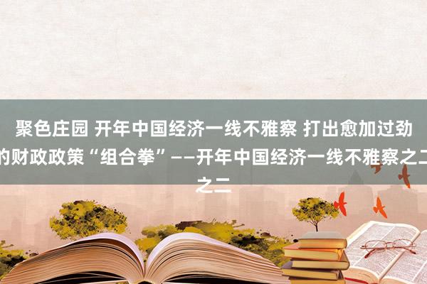 聚色庄园 开年中国经济一线不雅察 打出愈加过劲的财政政策“组合拳”——开年中国经济一线不雅察之二