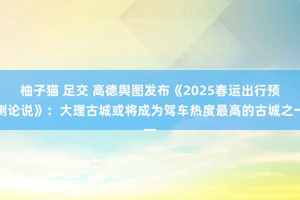 柚子猫 足交 高德舆图发布《2025春运出行预测论说》：大理古城或将成为驾车热度最高的古城之一