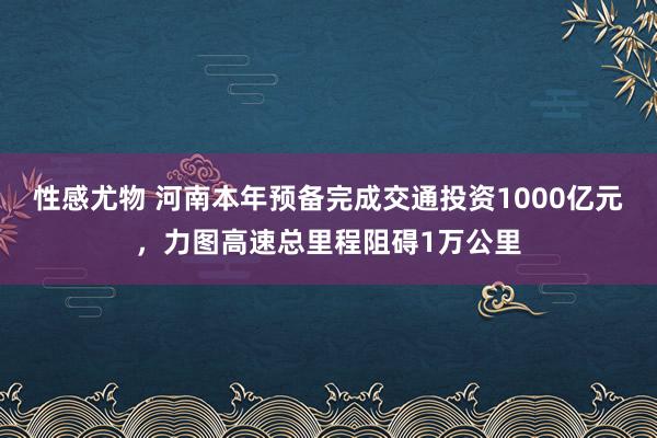 性感尤物 河南本年预备完成交通投资1000亿元，力图高速总里程阻碍1万公里