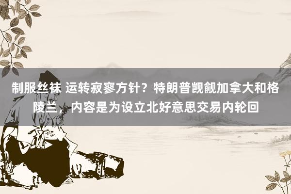 制服丝袜 运转寂寥方针？特朗普觊觎加拿大和格陵兰，内容是为设立北好意思交易内轮回