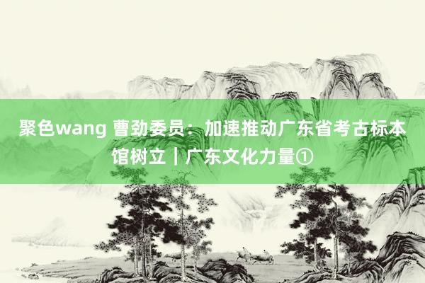 聚色wang 曹劲委员：加速推动广东省考古标本馆树立｜广东文化力量①