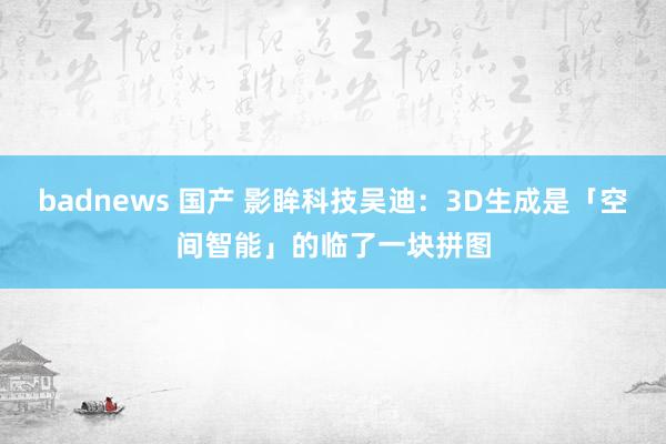 badnews 国产 影眸科技吴迪：3D生成是「空间智能」的临了一块拼图