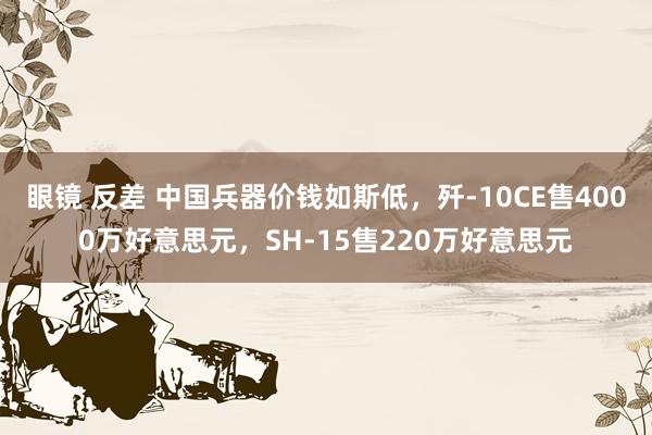 眼镜 反差 中国兵器价钱如斯低，歼-10CE售4000万好意思元，SH-15售220万好意思元